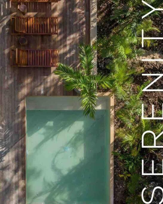 Villa Xuncari In The Heart Of The Jungle Tulum Exterior photo